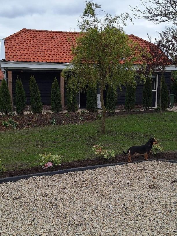 Gastenhuis Amstelmeerzicht. Westerland Exterior foto